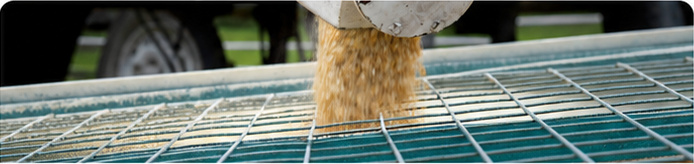 Feed processing line